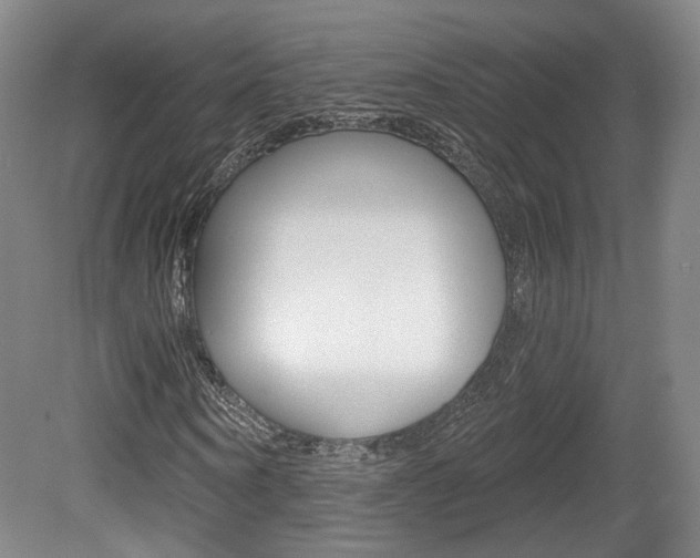X0000080740866200612150929