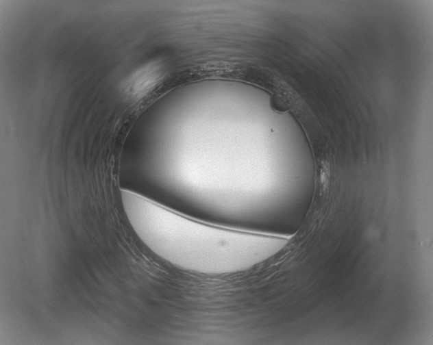 X0000080740867200612150929