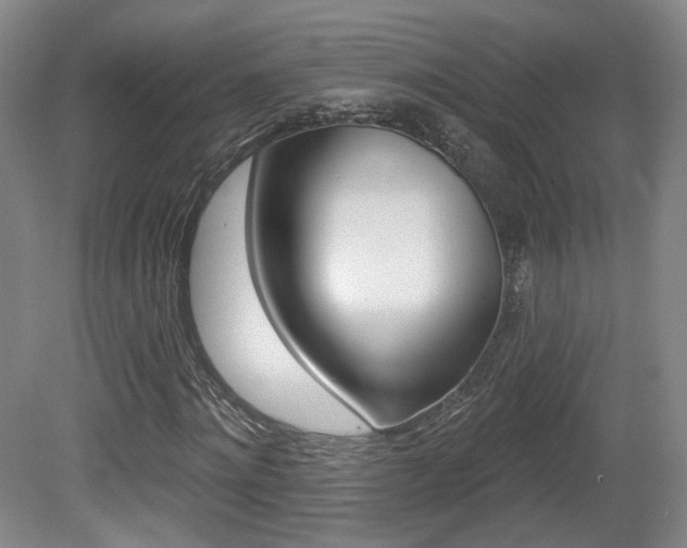 X0000080740868200612150929