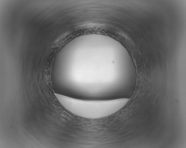 X0000080740869200612150929