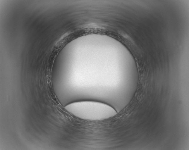 X0000080740870200612150929