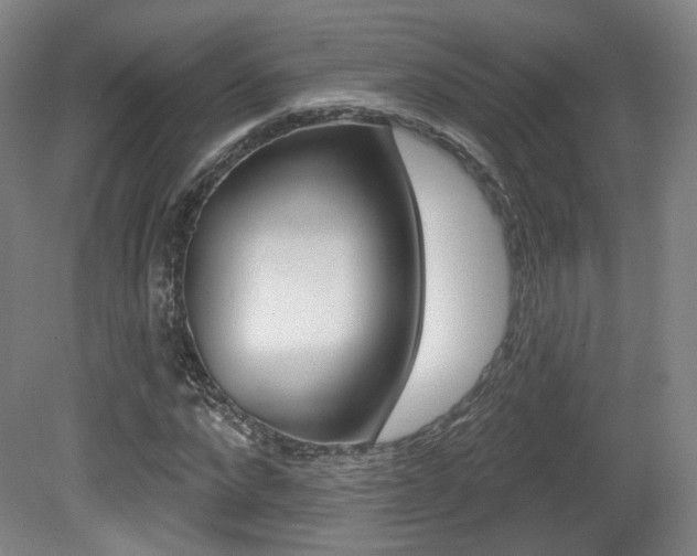X0000080740872200612150929