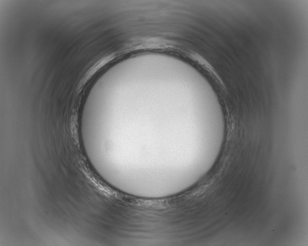 X0000080740874200612150929