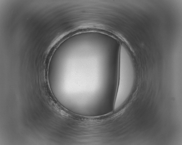 X0000080740877200612150929