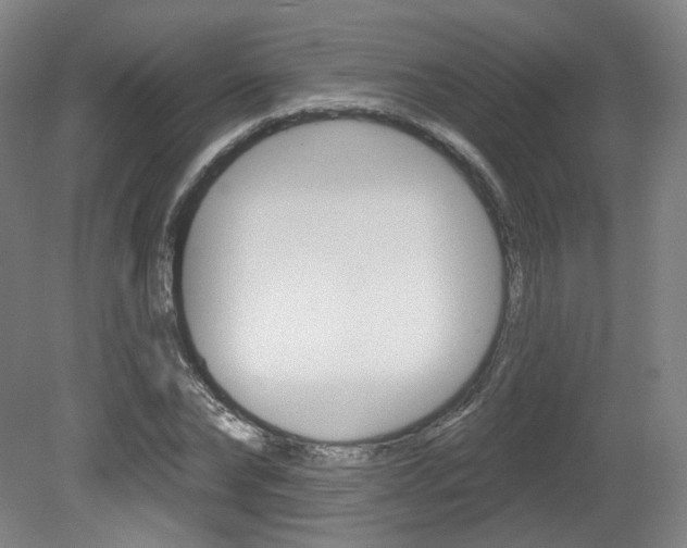 X0000080740878200612150929