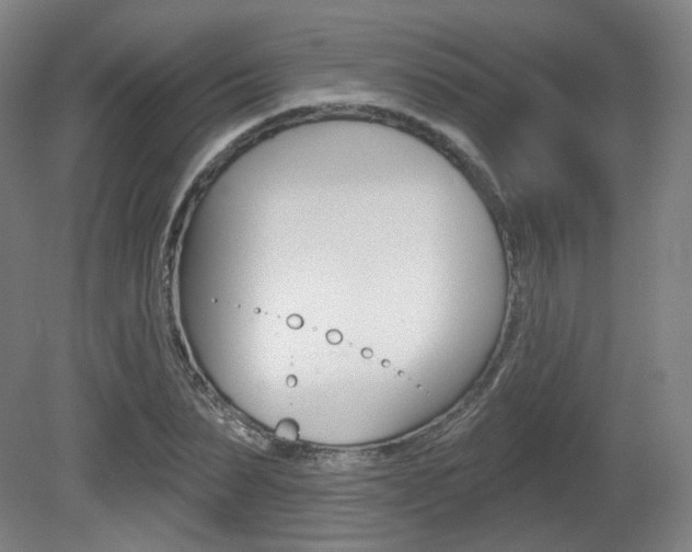X0000080740879200612150929