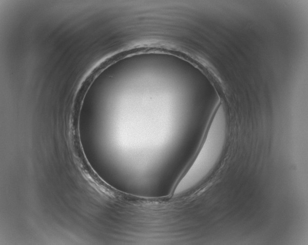 X0000080740880200612150929