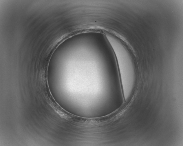 X0000080740881200612150929