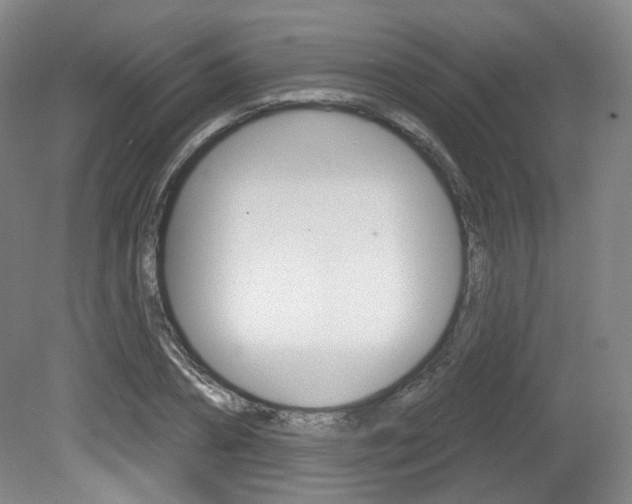 X0000080740882200612150929