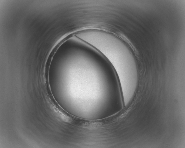 X0000080740884200612150929