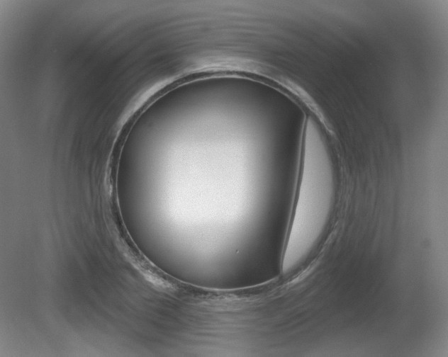 X0000080740885200612150929