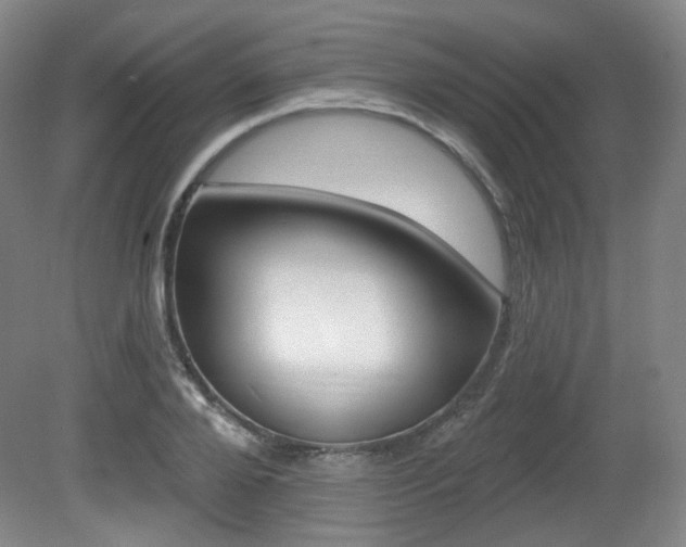 X0000080740888200612150929