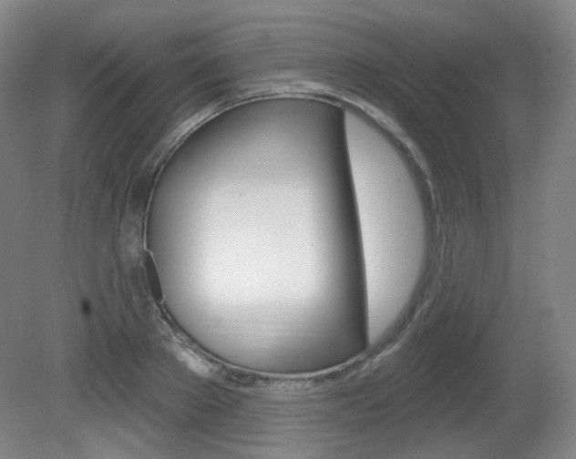 X0000080740889200612150929