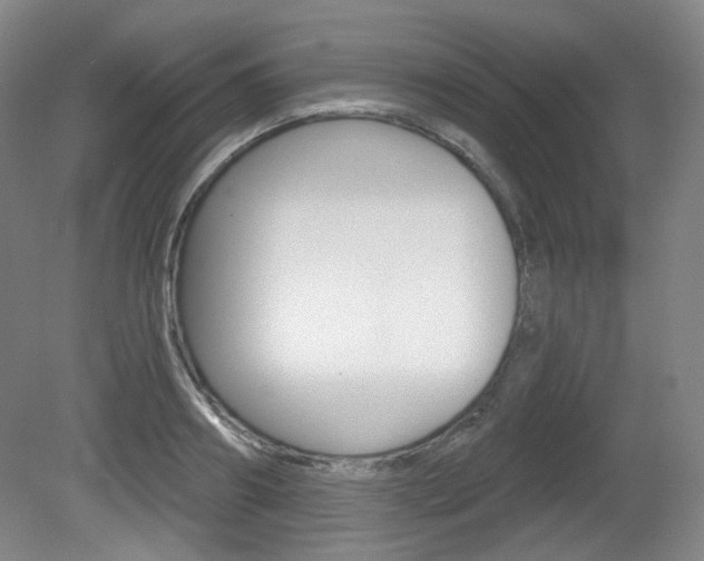 X0000080740890200612150929
