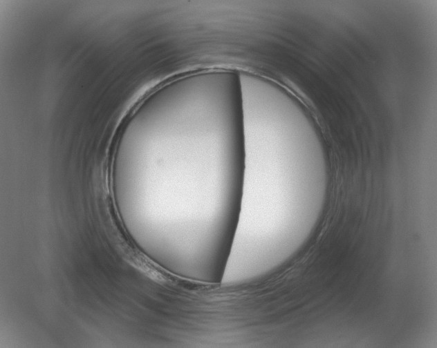 X0000080740891200612150929