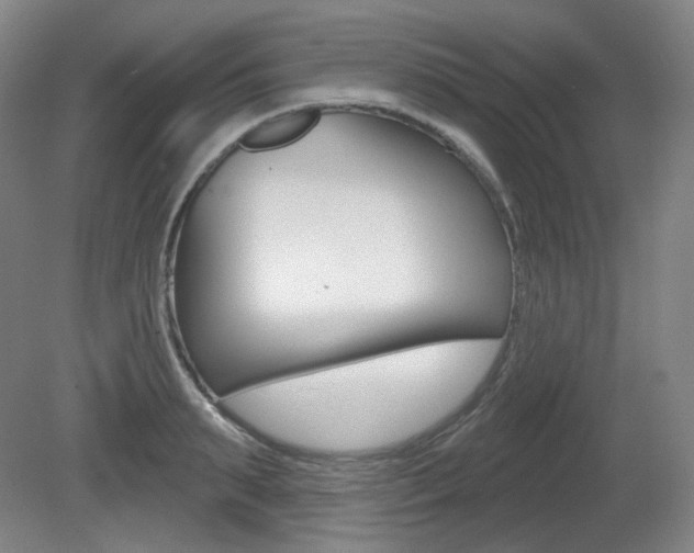 X0000080740895200612150929
