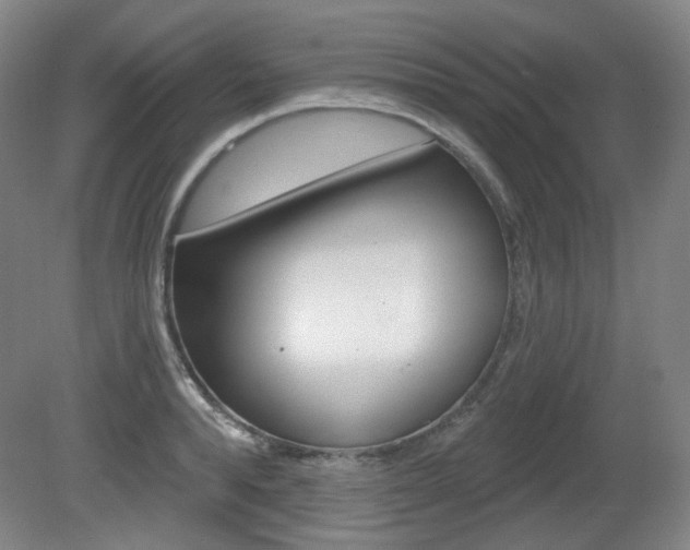 X0000080740896200612150929