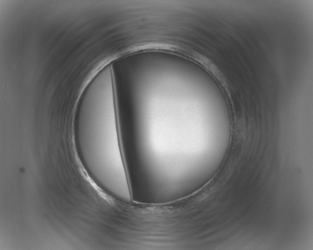 X0000080740898200612150929