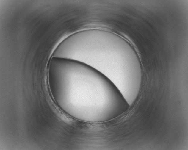 X0000080740899200612150929
