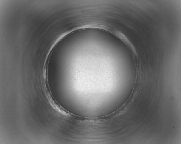 X0000080740900200612150929
