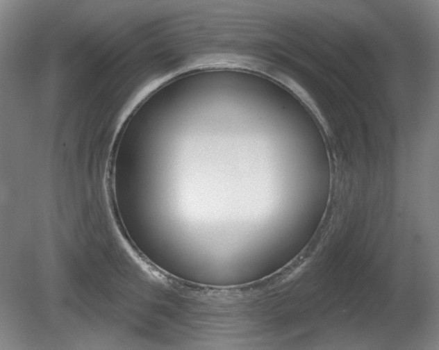 X0000080740901200612150929