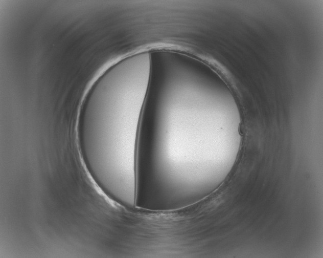 X0000080740902200612150929