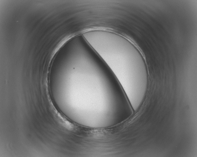 X0000080740906200612150929