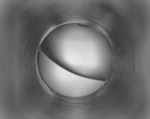 X0000080740907200612150929