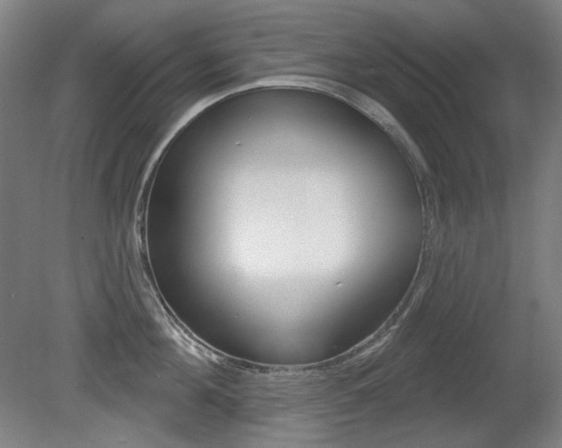 X0000080740908200612150929
