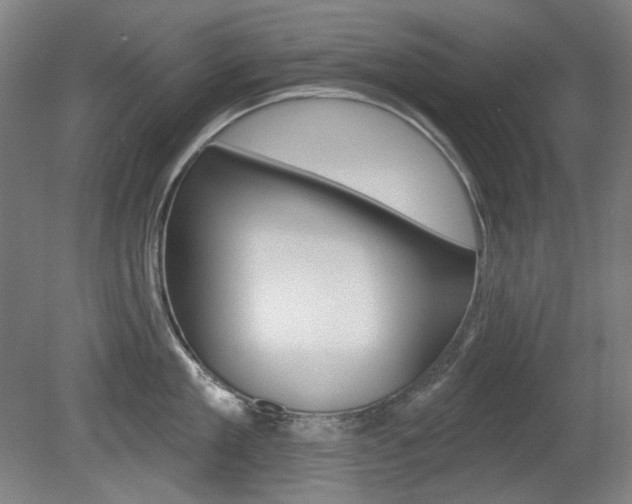 X0000080740909200612150929