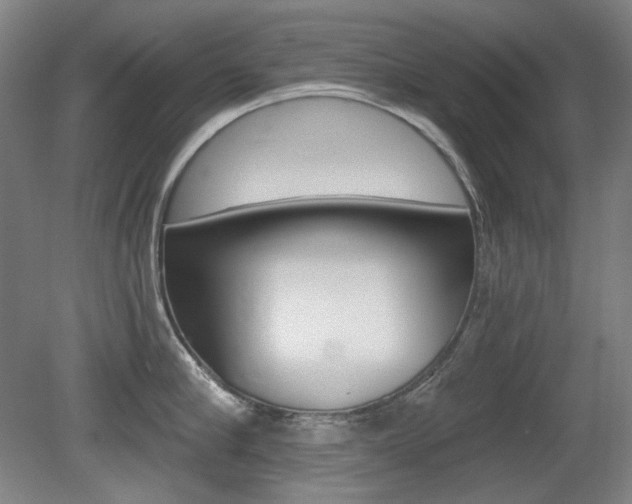 X0000080740910200612150929