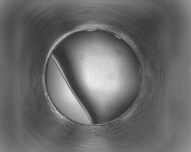 X0000080740912200612150929