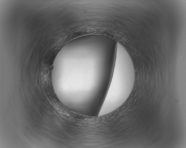 X0000080740914200612150928
