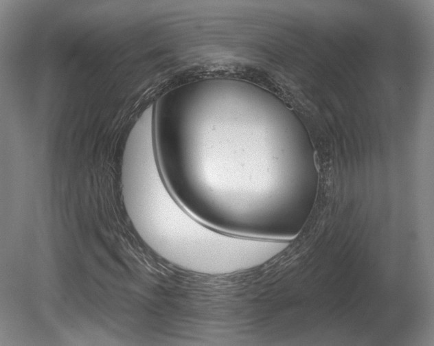 X0000080740916200612150928