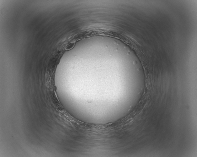 X0000080740917200612150928