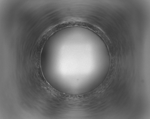 X0000080740919200612150928