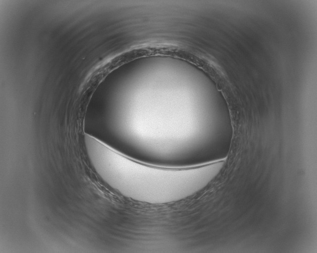 X0000080740920200612150928