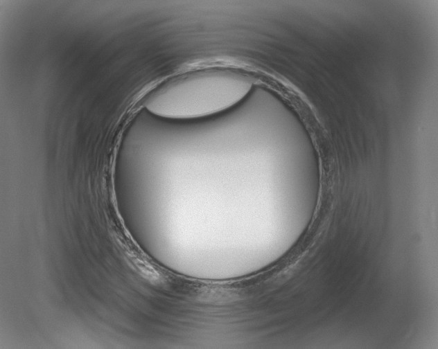 X0000080740921200612150928