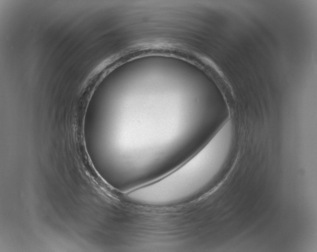 X0000080740922200612150928