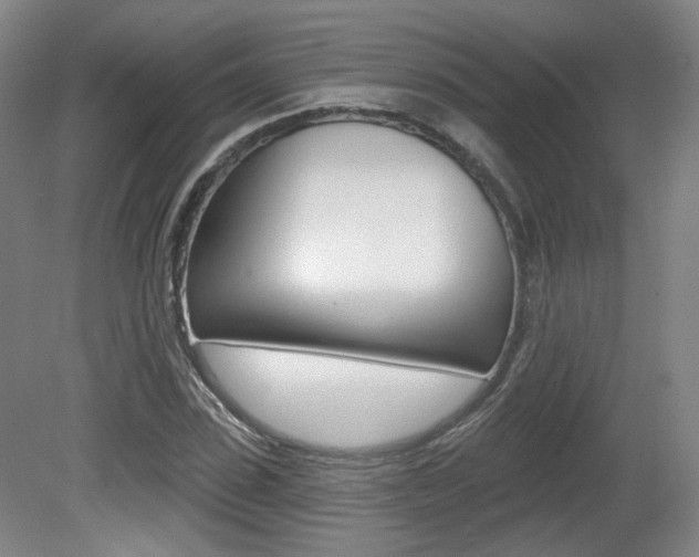 X0000080740923200612150928