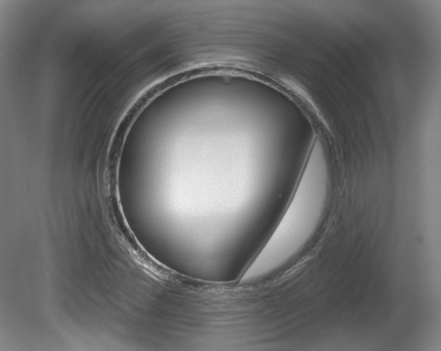 X0000080740924200612150928