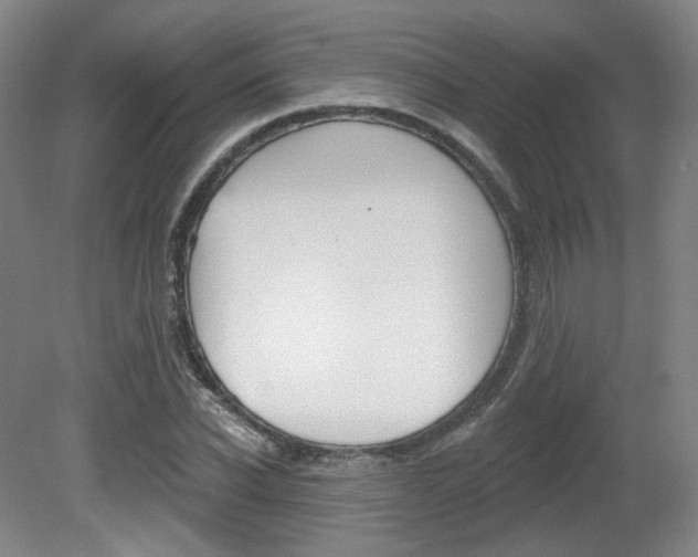 X0000080740926200612150928