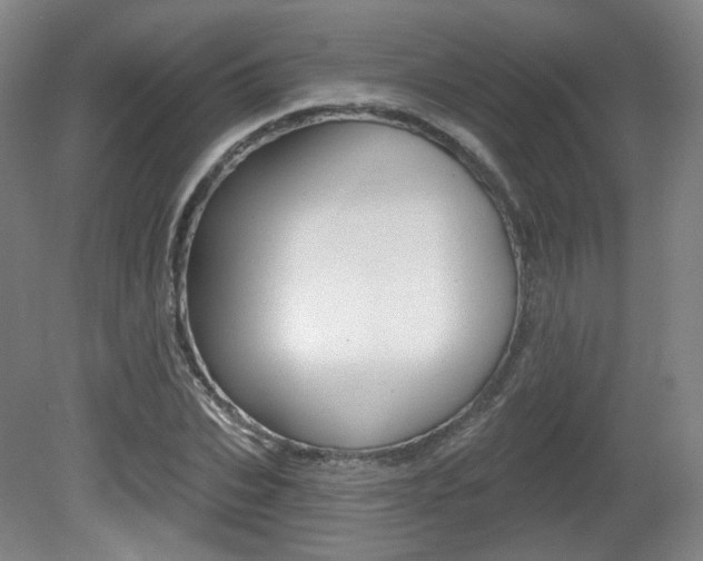 X0000080740927200612150928