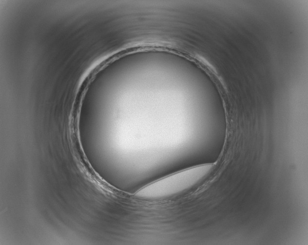 X0000080740928200612150928