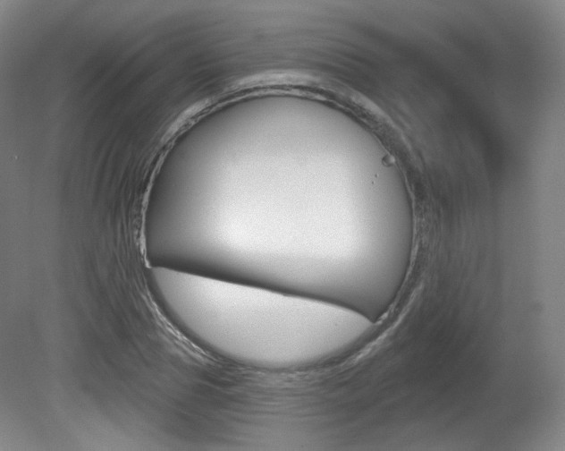 X0000080740929200612150928