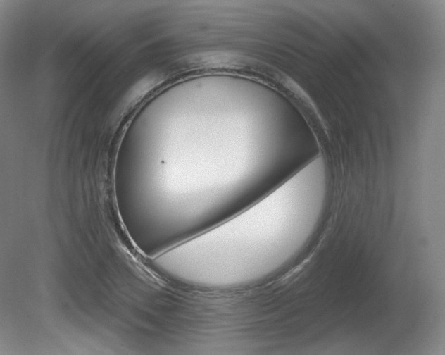 X0000080740930200612150928