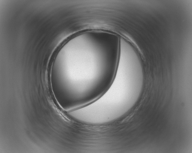 X0000080740932200612150928