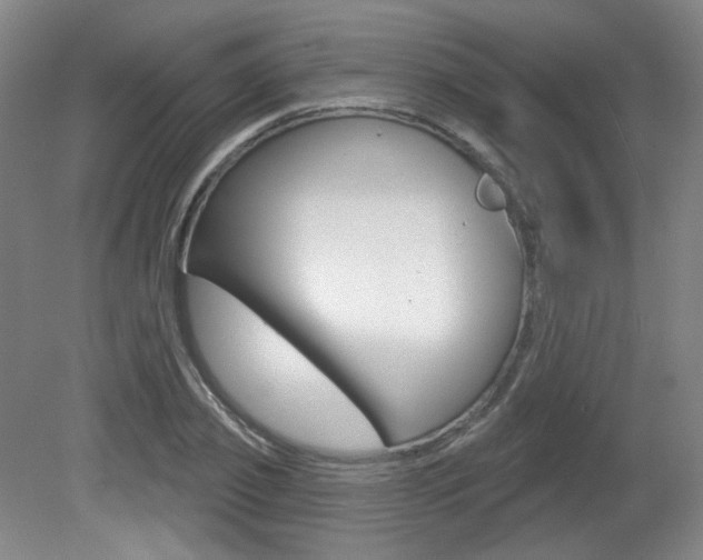 X0000080740933200612150928
