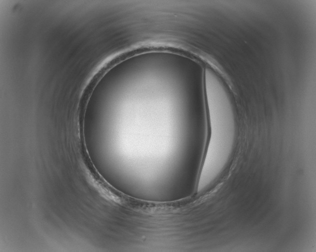 X0000080740934200612150928