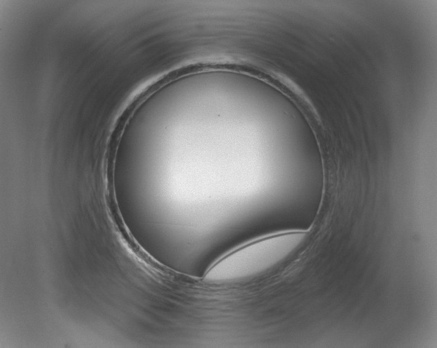X0000080740935200612150928